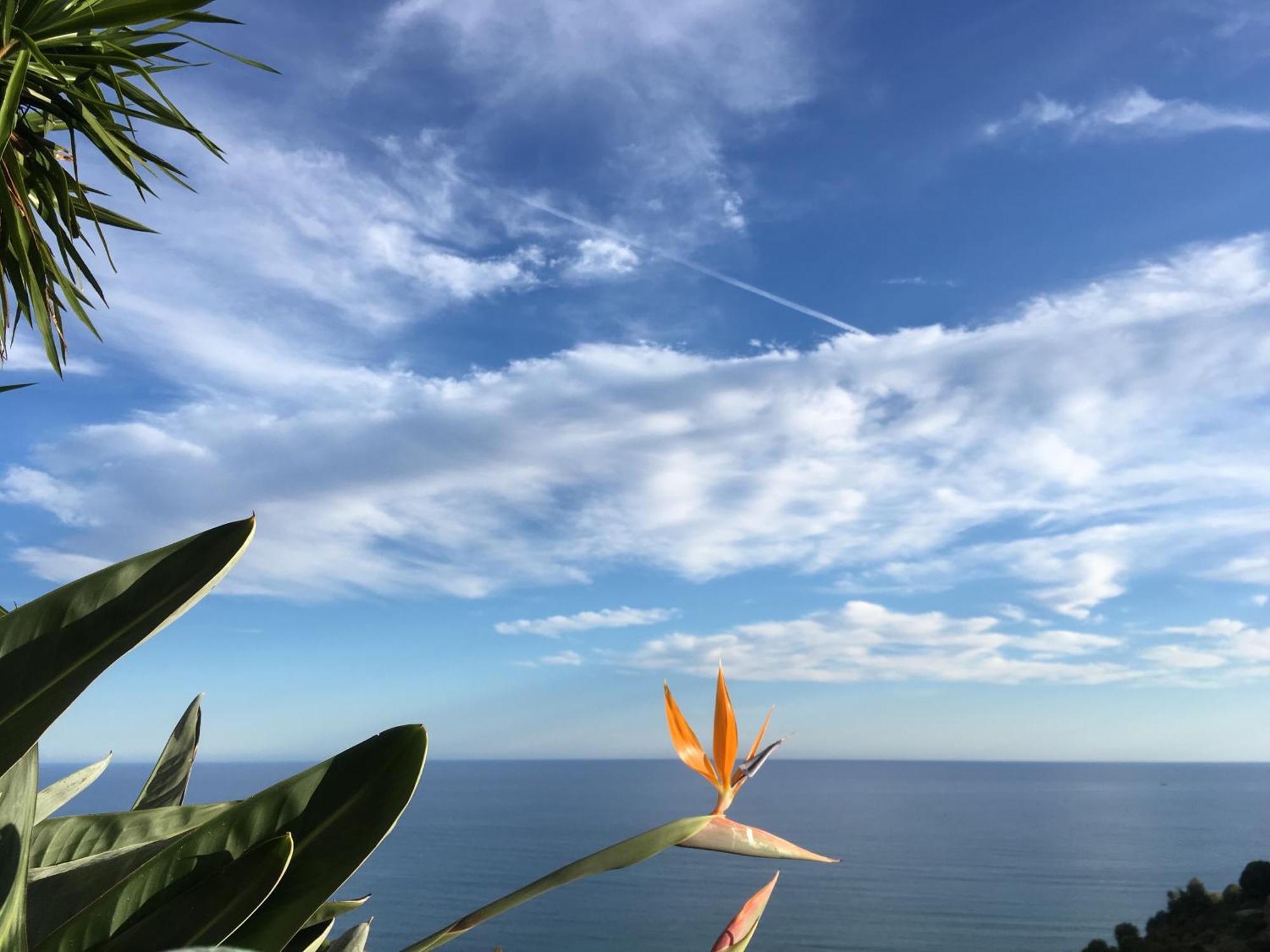 Villa Vento Largo, Casa Marina Ventimiglia Eksteriør billede