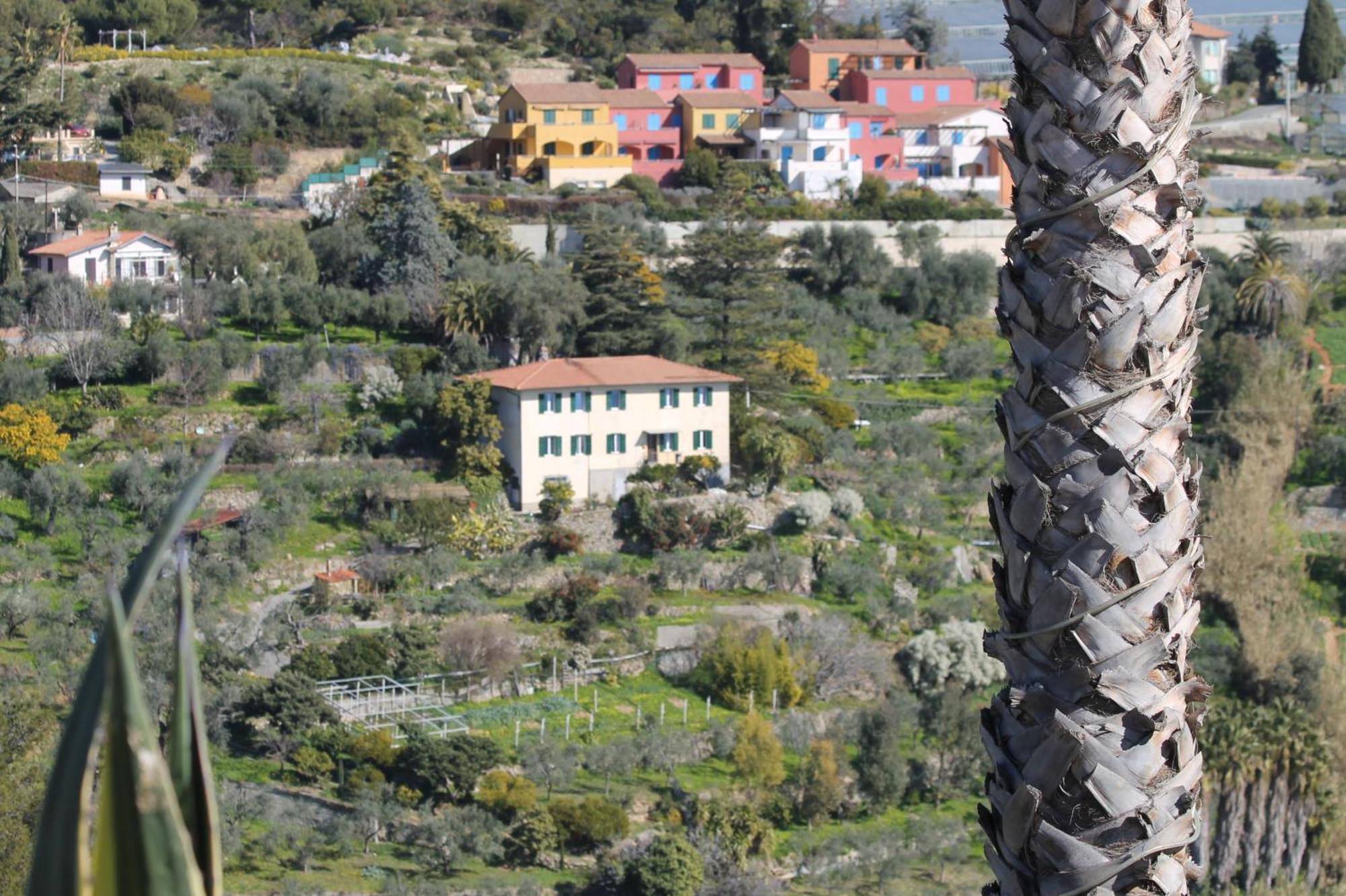 Villa Vento Largo, Casa Marina Ventimiglia Eksteriør billede